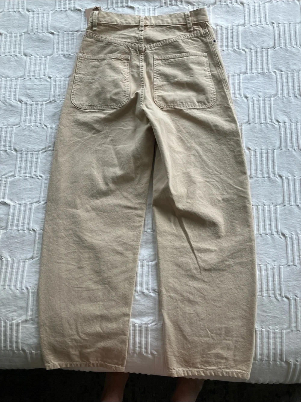 Rudy Jude Wide-Leg Pants in Beige